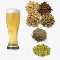 Ингредиенты для пива Ингредиенты для пива